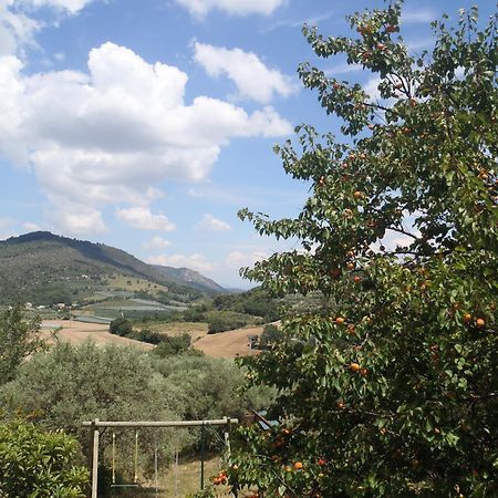 Les Chevrefeuilles Lägenhet Manosque Exteriör bild