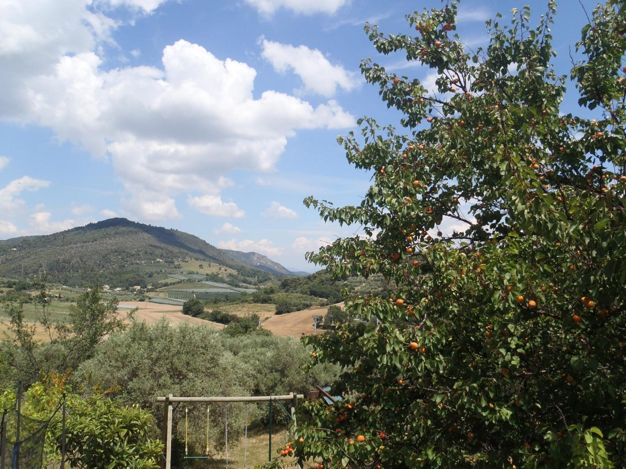 Les Chevrefeuilles Lägenhet Manosque Exteriör bild