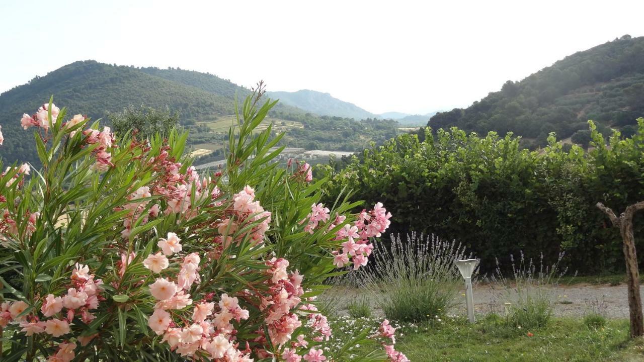 Les Chevrefeuilles Lägenhet Manosque Exteriör bild